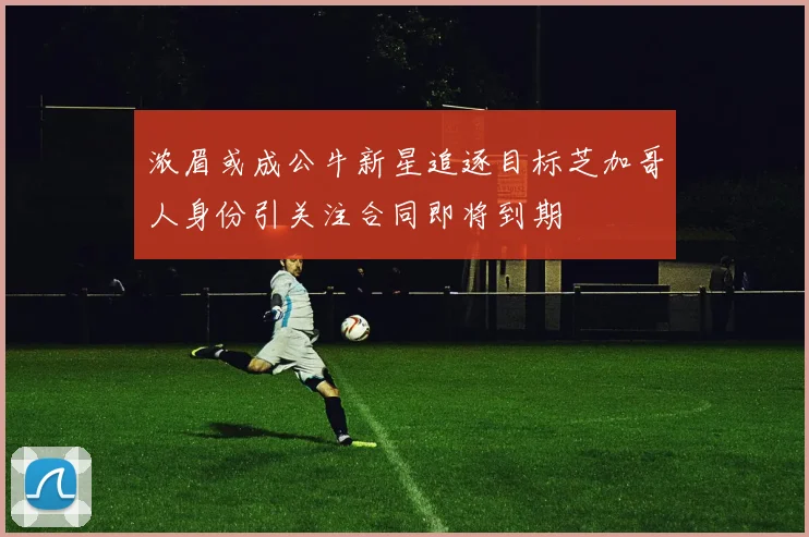 浓眉或成公牛新星追逐目标芝加哥人身份引关注合同即将到期