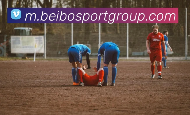 贝博足球平台生态图